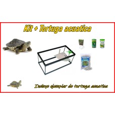 Kit completo + Tortuga acuatica